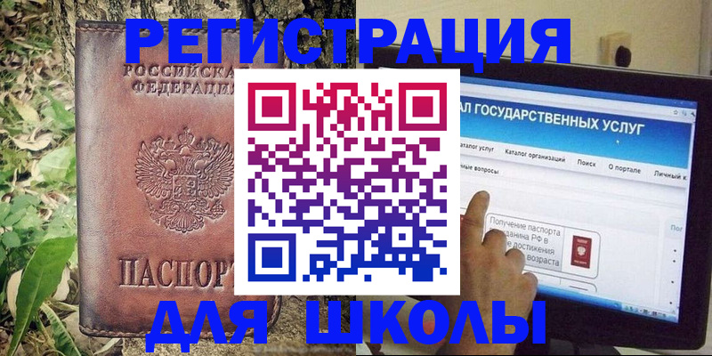 прописка для школы в Щёлково